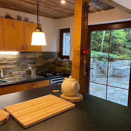 Mountain Chalet - Cabana La Muntele Baisorii Muntele Cacovei  Esterno foto