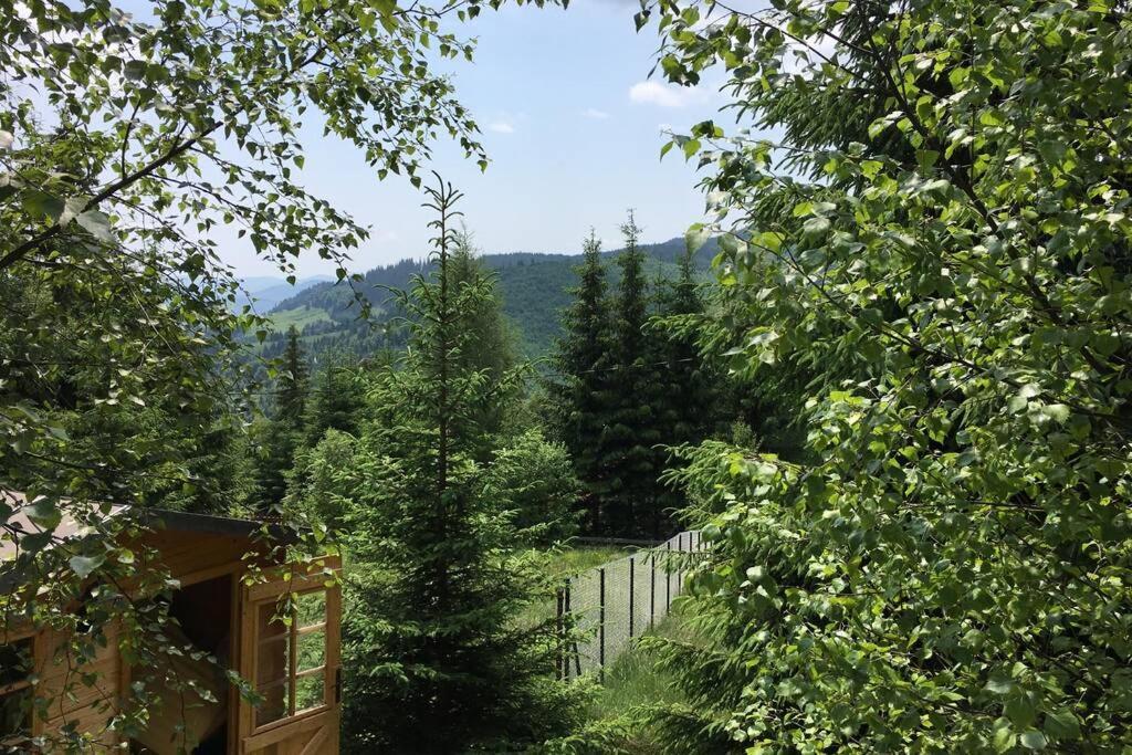 Mountain Chalet - Cabana La Muntele Baisorii Muntele Cacovei  Esterno foto