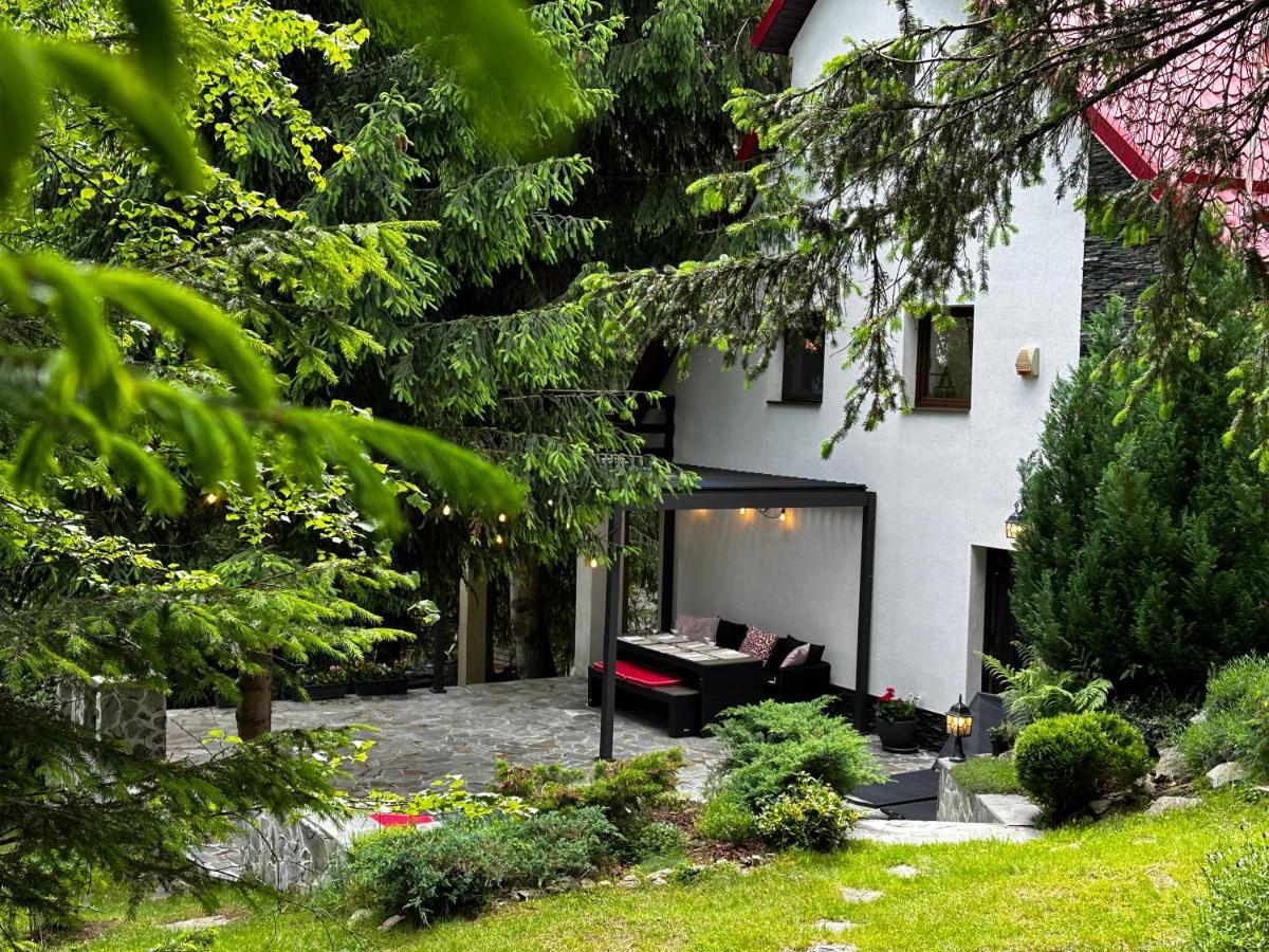 Mountain Chalet - Cabana La Muntele Baisorii Muntele Cacovei  Esterno foto