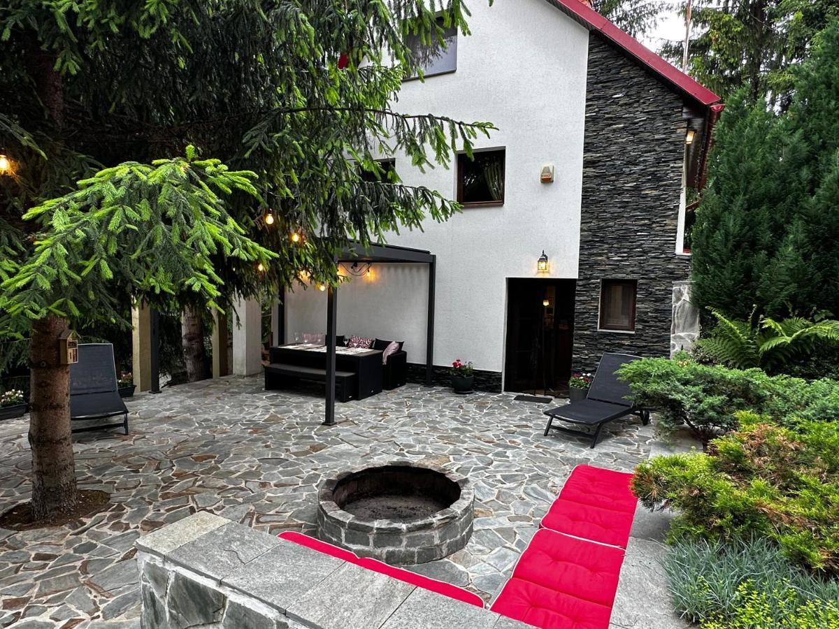 Mountain Chalet - Cabana La Muntele Baisorii Muntele Cacovei  Esterno foto