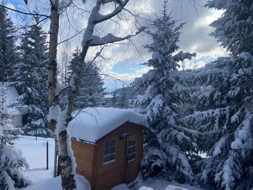 Mountain Chalet - Cabana La Muntele Baisorii Villa Muntele Cacovei  Esterno foto